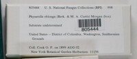 Image Associated With the Occurence